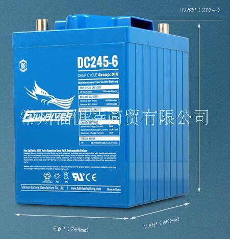 DC245-6免维护电池