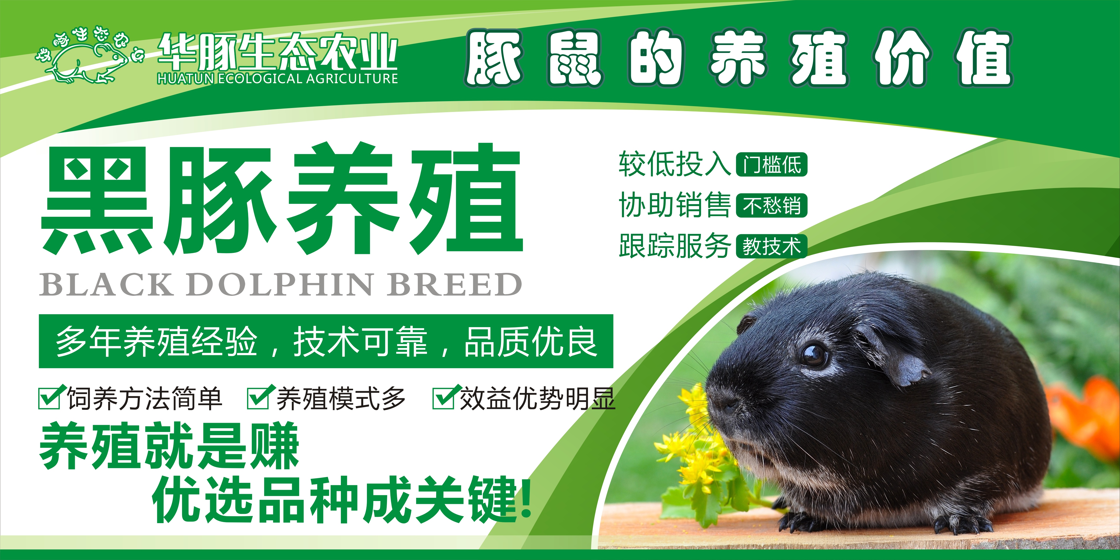 华豚生态农业黑豚养殖技术的优势