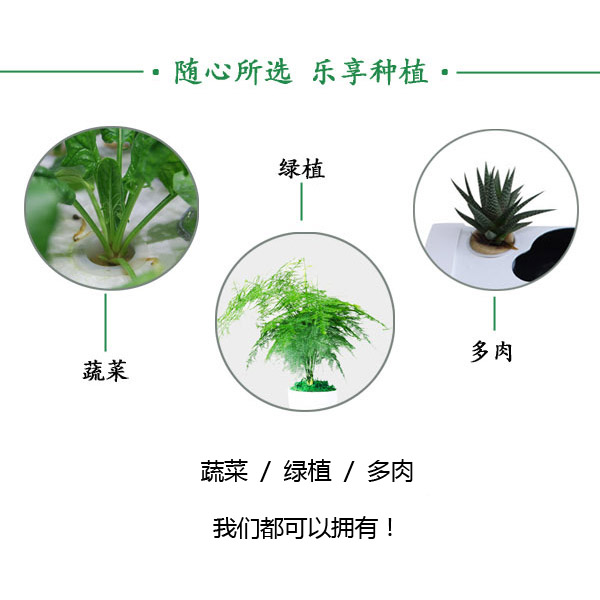 风味菜葆营养粉剂报价-厂家-批发-哪家好-供应商