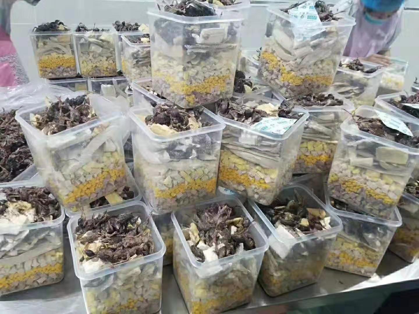 狗粮OEM/贴牌代加工定制 宠物零食  冻干  罐头 猫条 加工定制批发 电商代发货