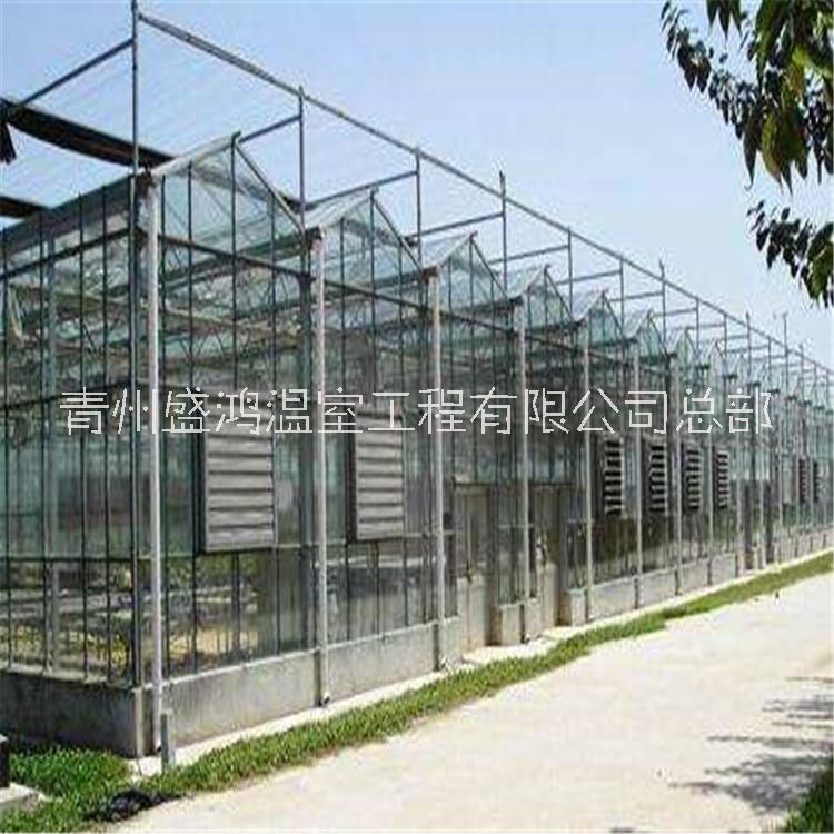 玻璃温室设计产业市场发展