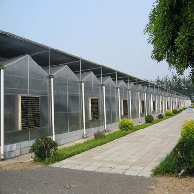 阳光板温室大棚设计安装 阳光板温室工程供应商价格
