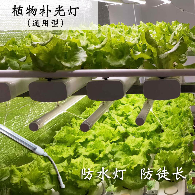 防水植物生长灯报价-供应商-公司-哪家好