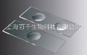 上海百千J07101玻璃载玻片单凹片双凹片三凹片加厚血盖片