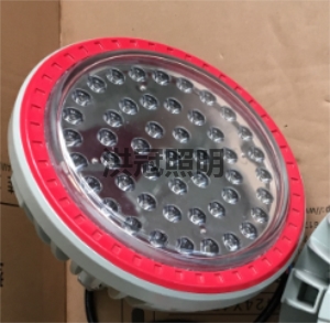 BZD118防爆免维护LED灯  侧壁式LED防爆灯40W价格
