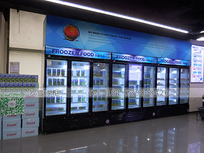 广州便利店饮料冰柜哪家牌子价格便宜
