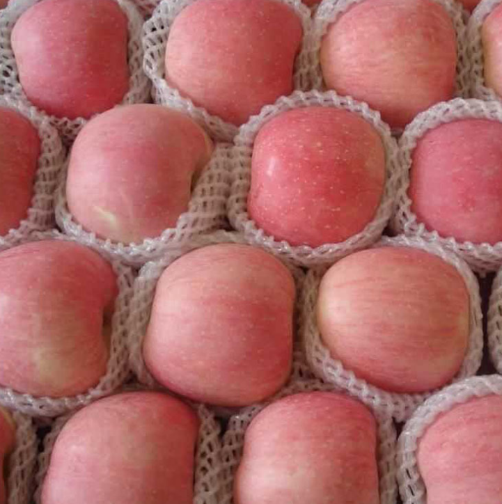 苹果树苗嫁接苹果树苗红富士矮化南北方种植庭院果树 大香甜