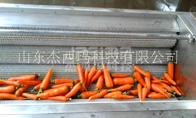 土豆毛辊蔬菜清洗机