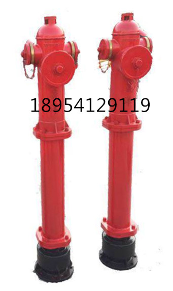 SSFT100/65防冻型消火栓