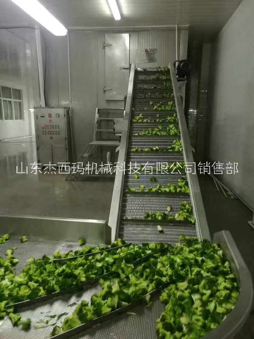 潍坊市清洗机  蔬菜清洗机 水果清洗机厂家清洗机  蔬菜清洗机 水果清洗机