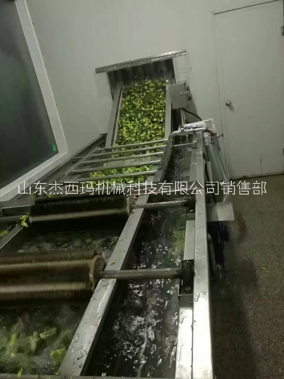 潍坊市清洗机  蔬菜清洗机 水果清洗机厂家