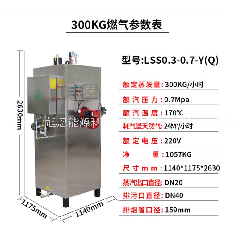 蒸汽发生器旭恩全自动节能100kw 蒸汽发生器旭恩