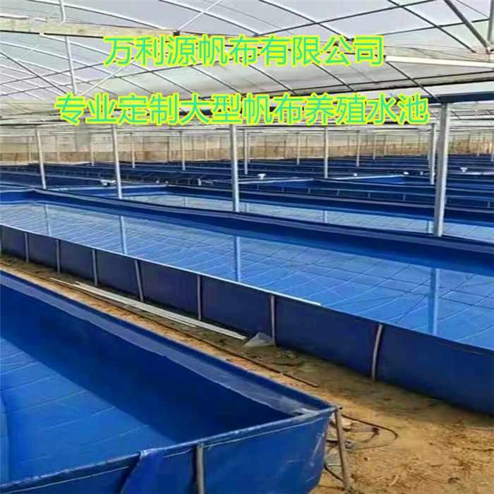 养殖帆布水池设计定做-帆布养殖鱼池生产厂家-大棚养殖小龙虾池价格