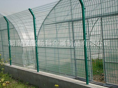 双边丝护栏网高速公路隔离护栏网
