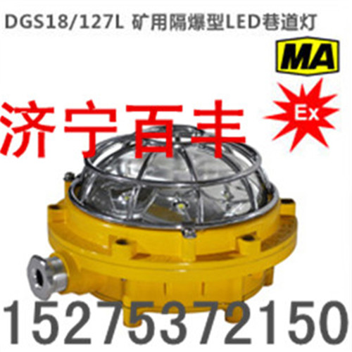 DGS40/127L(A)矿用隔爆LED巷道灯DGS40L矿用隔爆巷道灯