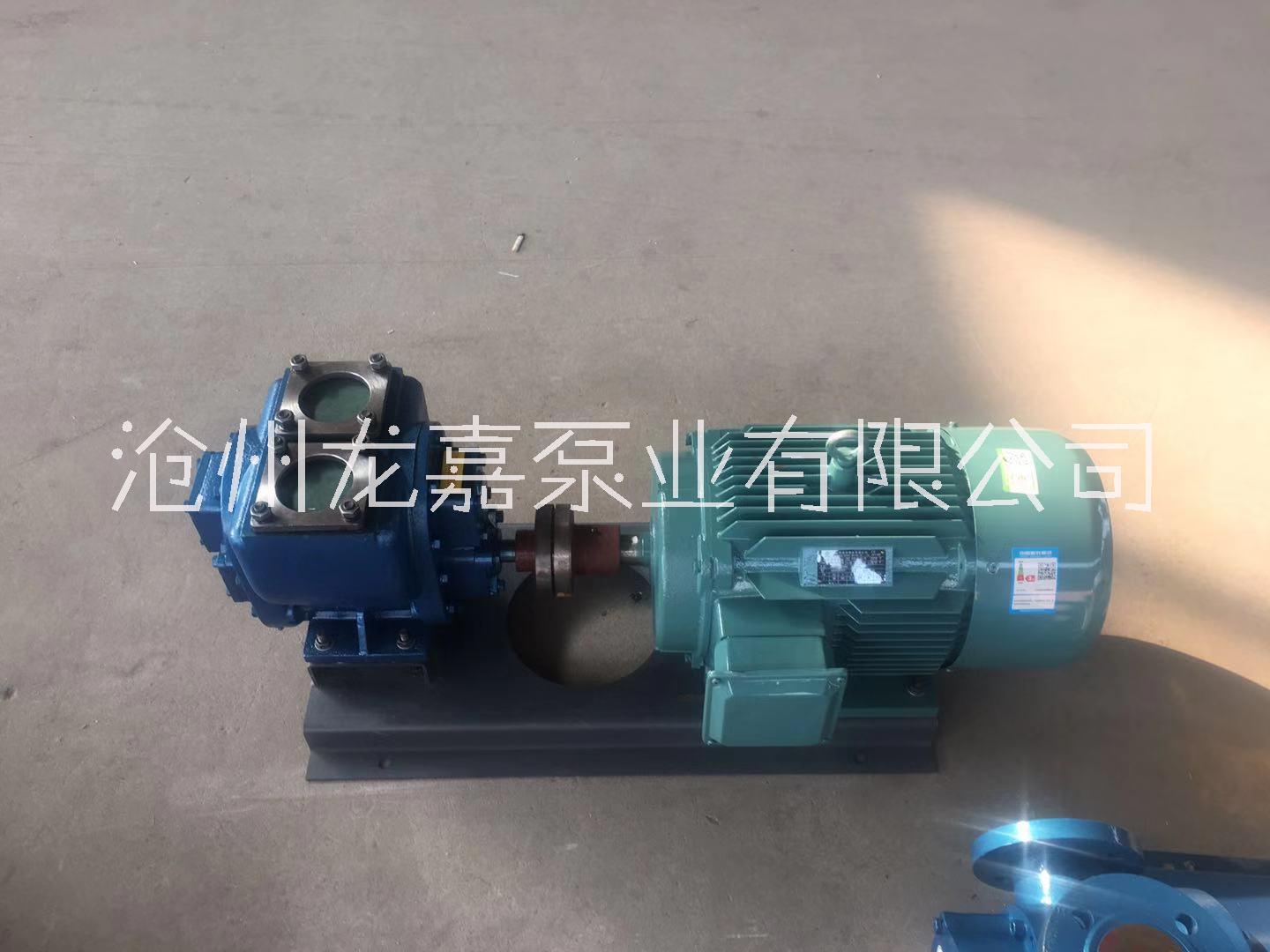 龙嘉泵业 厂家直销YHCB（油罐汽车）圆弧齿轮泵 汽车油泵 不锈钢尼龙轮车载泵