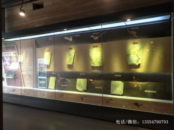 佛像艺术博物馆展柜制作生产厂家-佛教文物文化博物馆展示柜效果图片