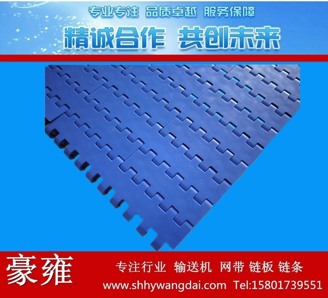 上海市豪雍1005平板塑料网带厂家豪雍1005平板塑料网带