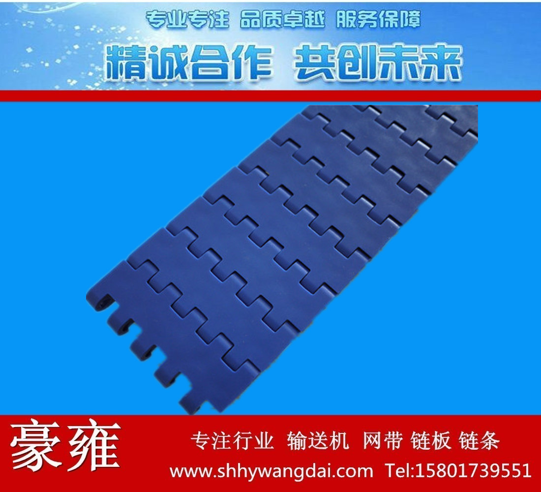 豪雍1005平板塑料网带