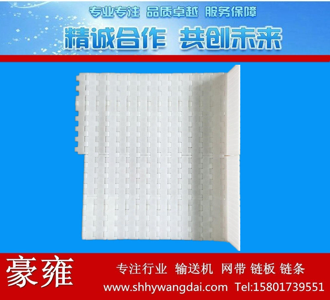 豪雍5935系列塑料网带厂家直销