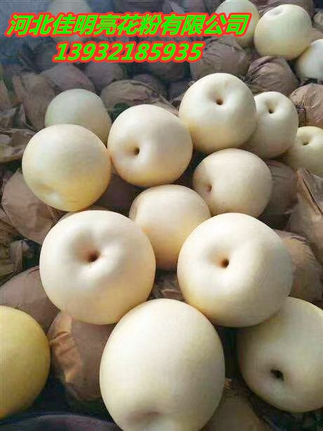 产地直销赵州黄冠梨，皮薄肉厚质细，型号齐全图片