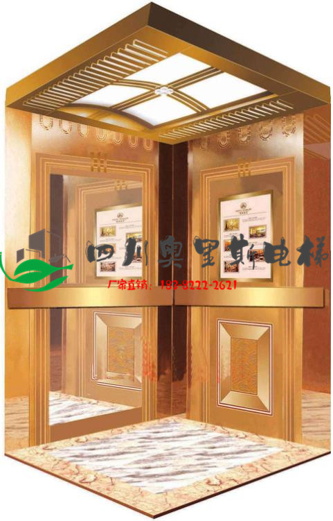 四川厂家直销三层家用电梯，三层别墅电梯定制报价