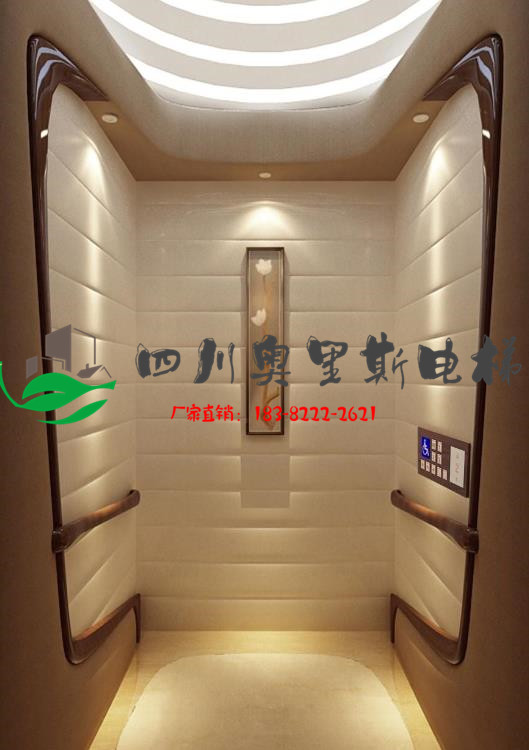 四川螺杆式小型家用电梯，家用别墅电梯安装