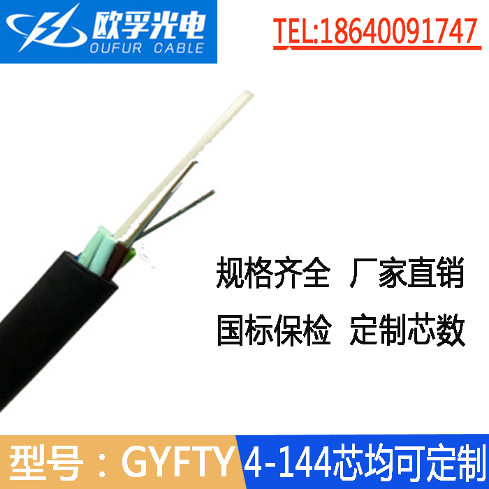 导引GYFTY光缆24芯单模 光缆厂家定制国标非金属光缆GYFTY-24B1.3图片
