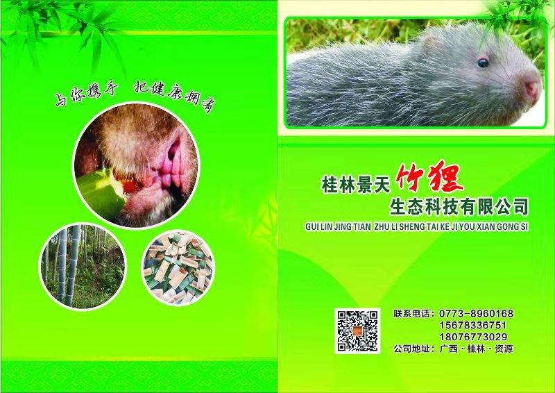 广西桂林竹鼠养殖技术