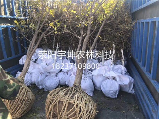 荥阳宇坤农林科技有限公司