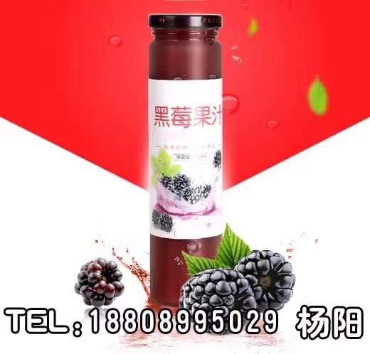 50ml黑莓不老莓复合原浆饮品图片