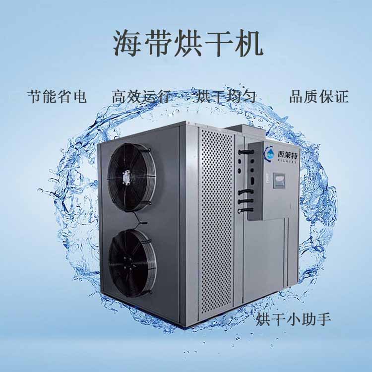 海带烘干除湿一体机厂家直销-广州西莱特污水处理设备有限公司