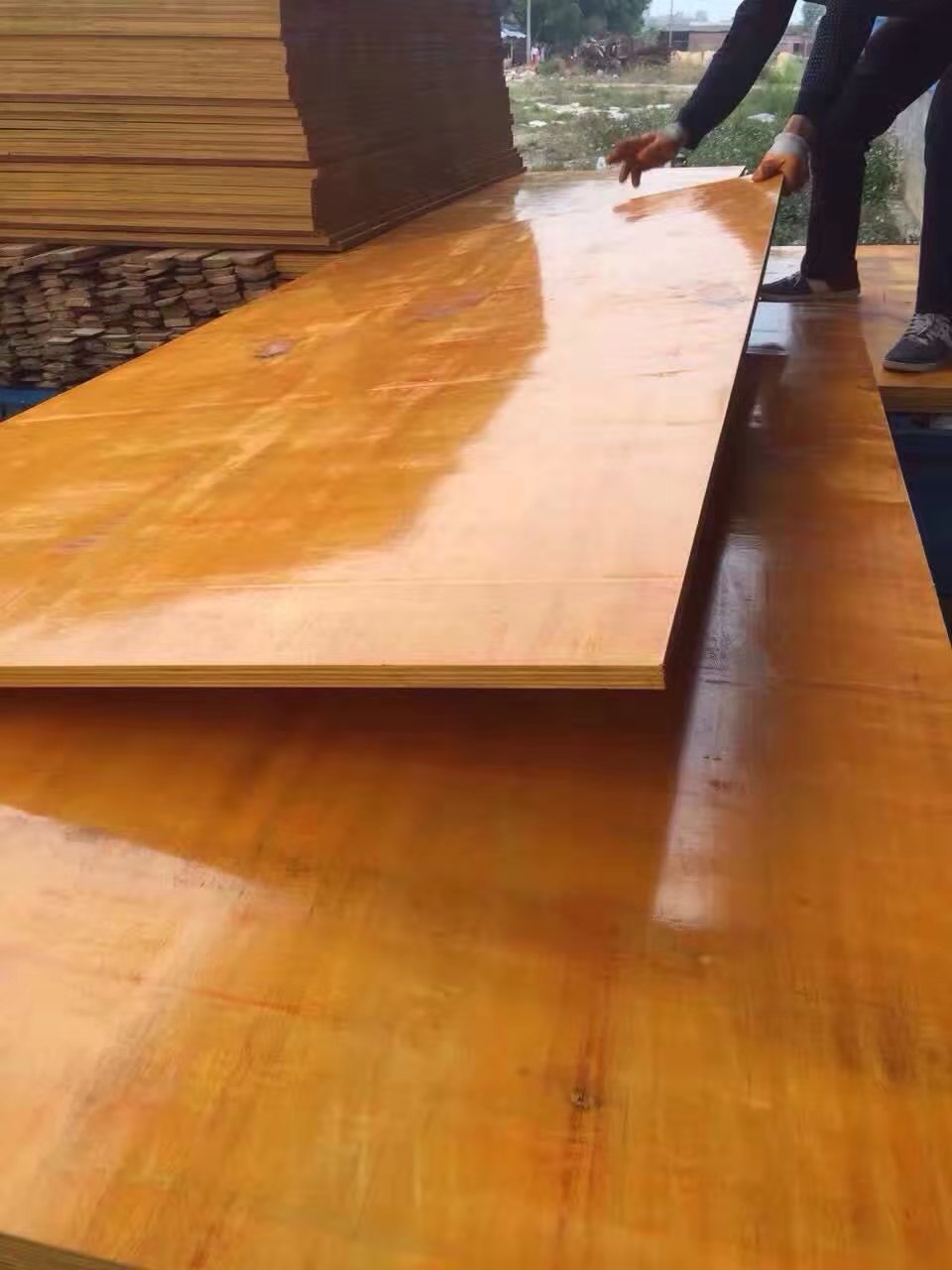玉林市厂家直销建筑木胶板 建筑模板供应商 建筑用模板批发