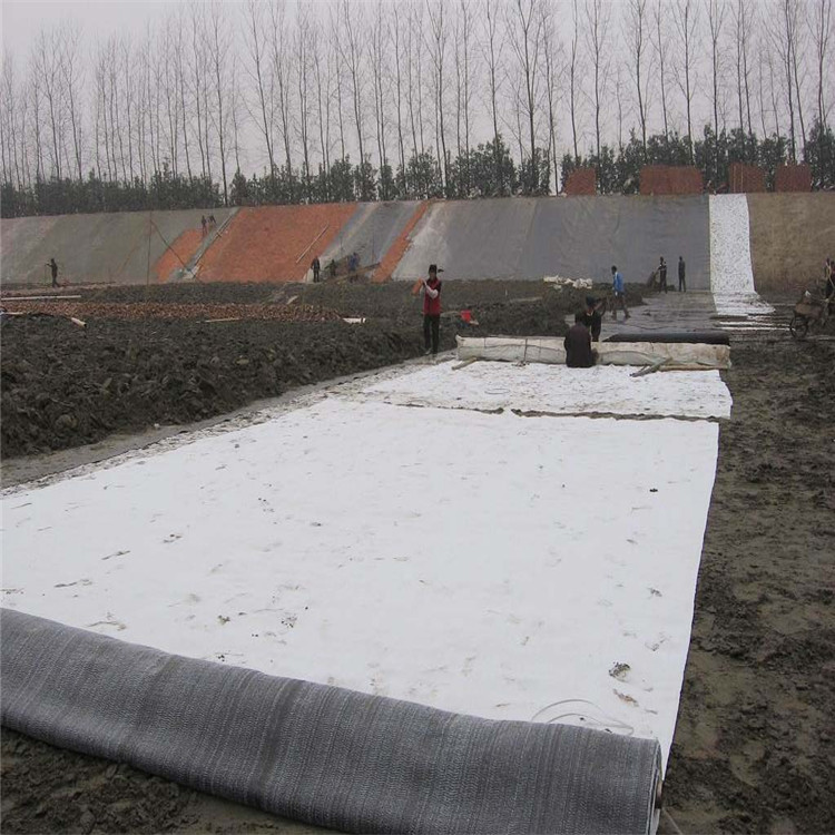 揭阳防渗土工膜,一布一膜土工膜厂家承接施工焊接工程