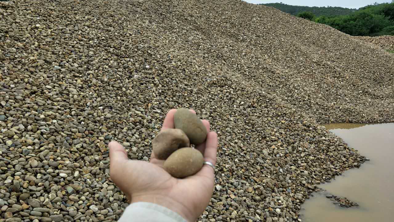 机制鹅卵石  鹅卵石规格 鹅卵石厂家 鹅卵石产地