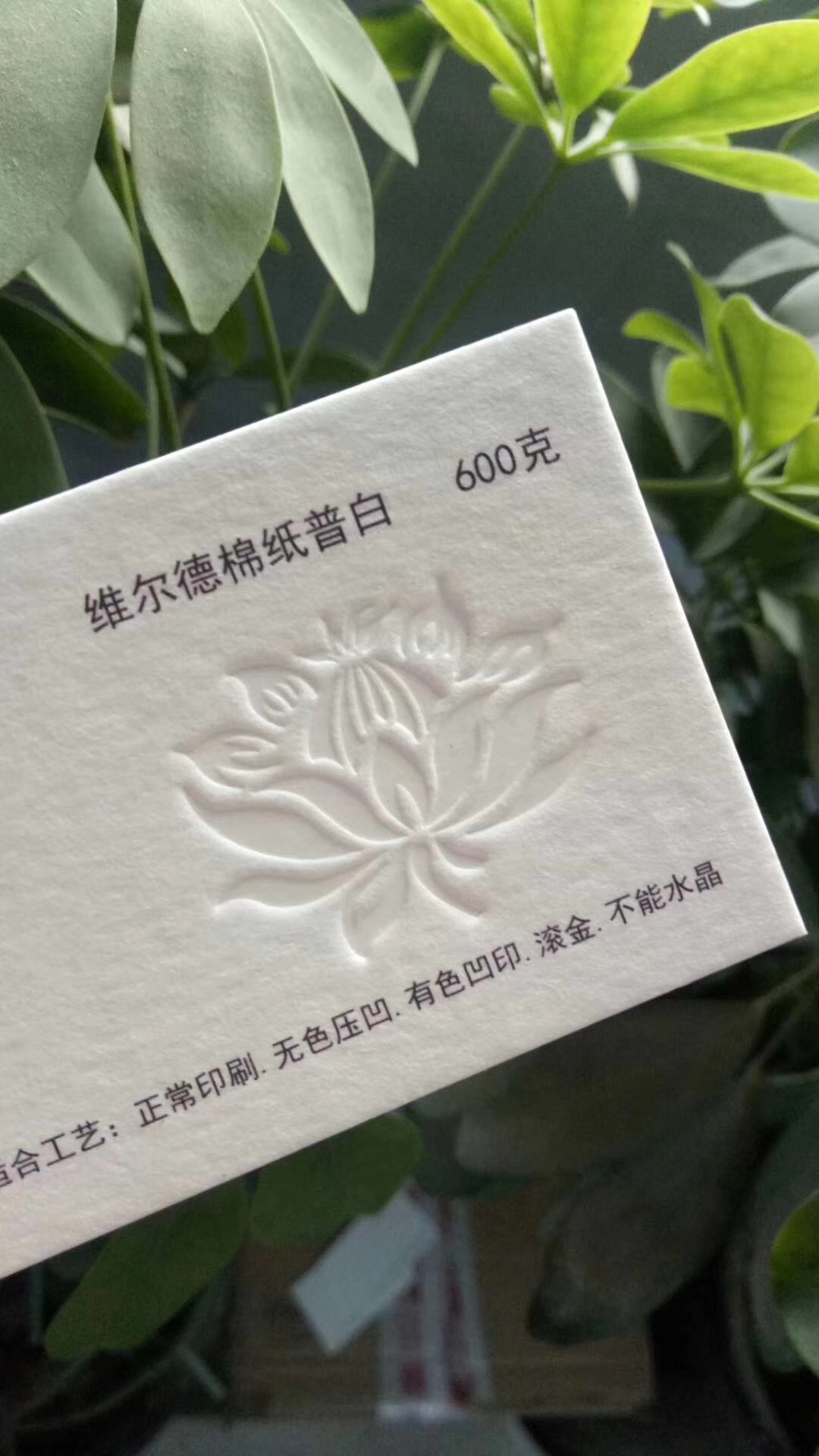 北京市上地加厚纸名片印刷厂家厂家