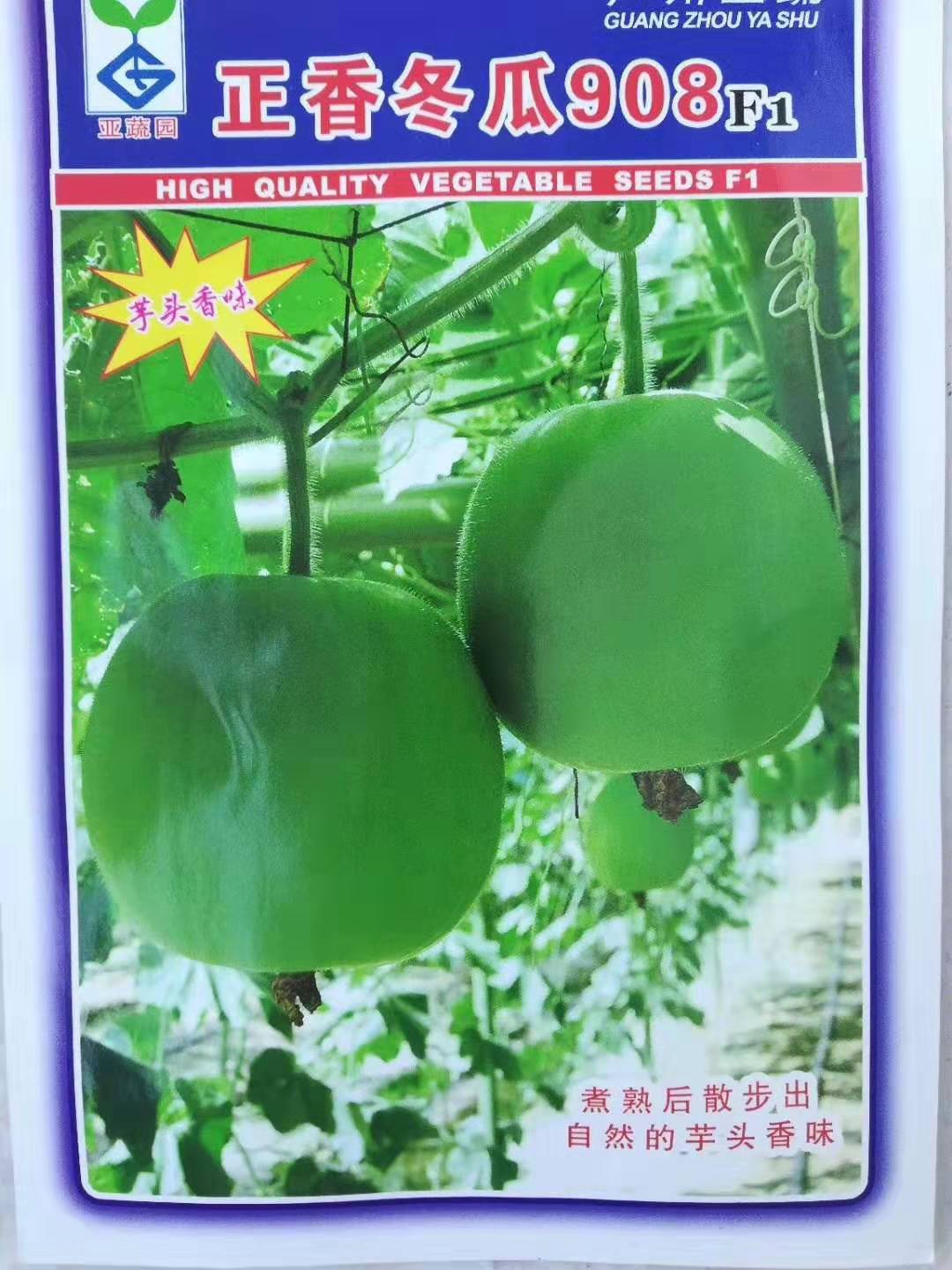 袋装冬瓜种子技术 袋装香芋冬瓜种