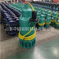 双叶轮防爆潜水泵广东广州道路施工污水污物排污泵BQS32-67/2-15