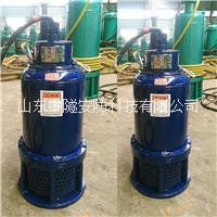 BT4高级防爆三项潜水泵广东广州市政工程污水排污泵WQB40-50-15kw