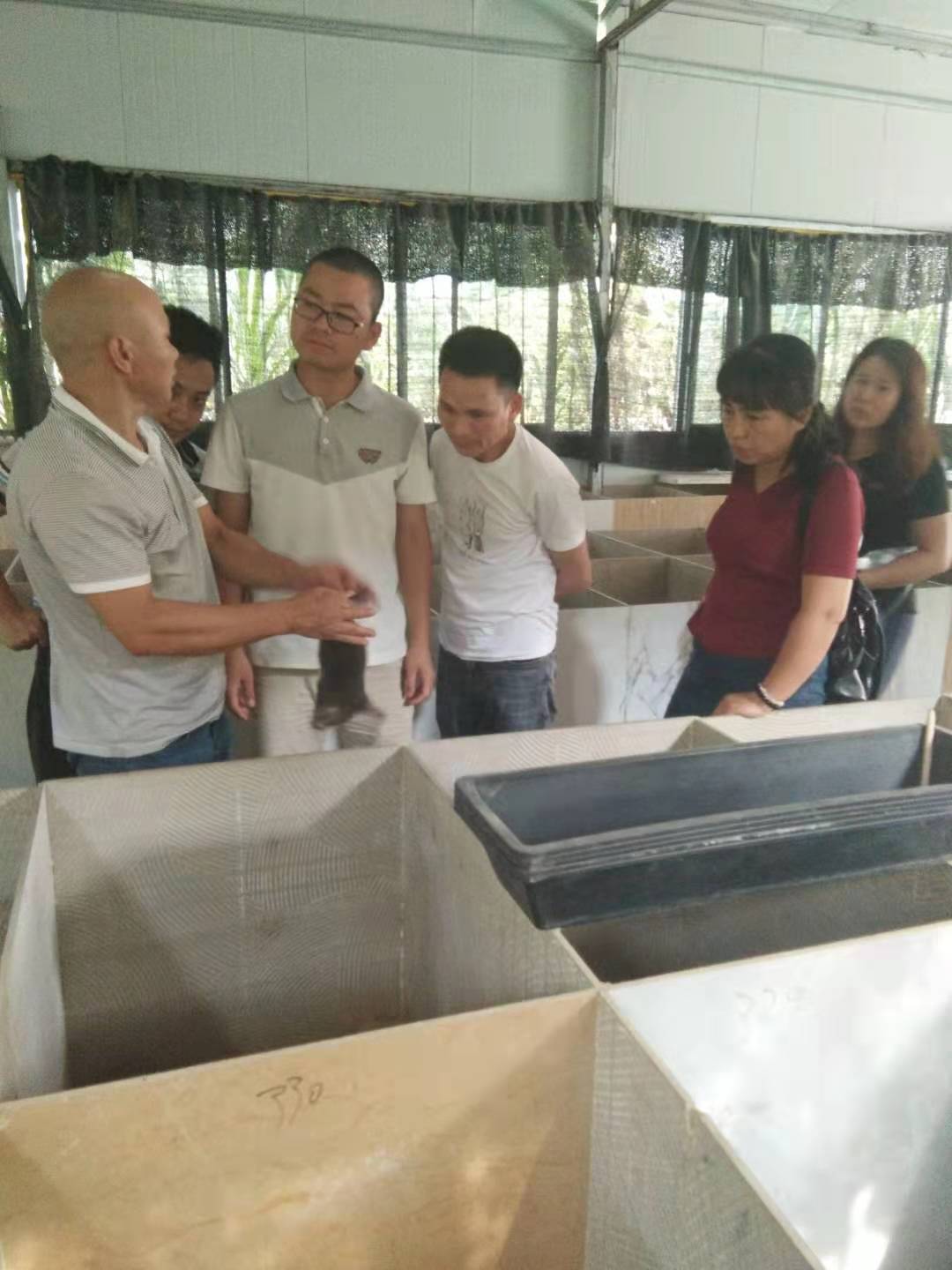 广西桂林竹鼠养殖全程指导跟踪批发