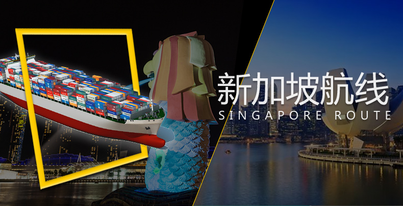 广州到新加坡海运双清到门专线 散货拼箱 整柜托运 新加坡航线海运货物运输服务电话图片