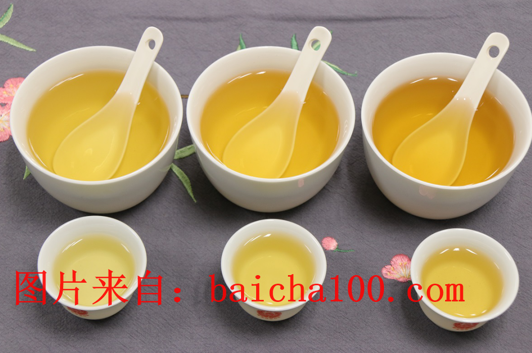 寿眉 福鼎白茶 白茶种类图片