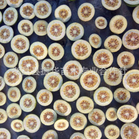 销售酸橙枳壳 品种纯正果树苗批发 园林绿化果树苗