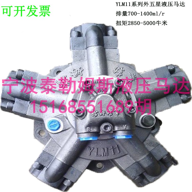 供应YLM1-63液压马达泰勒姆斯产品 YLM1-63液压马达