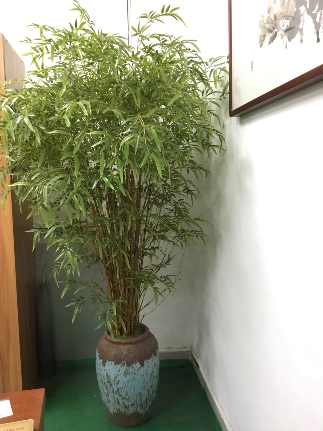 广东仿生加密型金丝竹价格，惠州金丝楠竹盆景批发