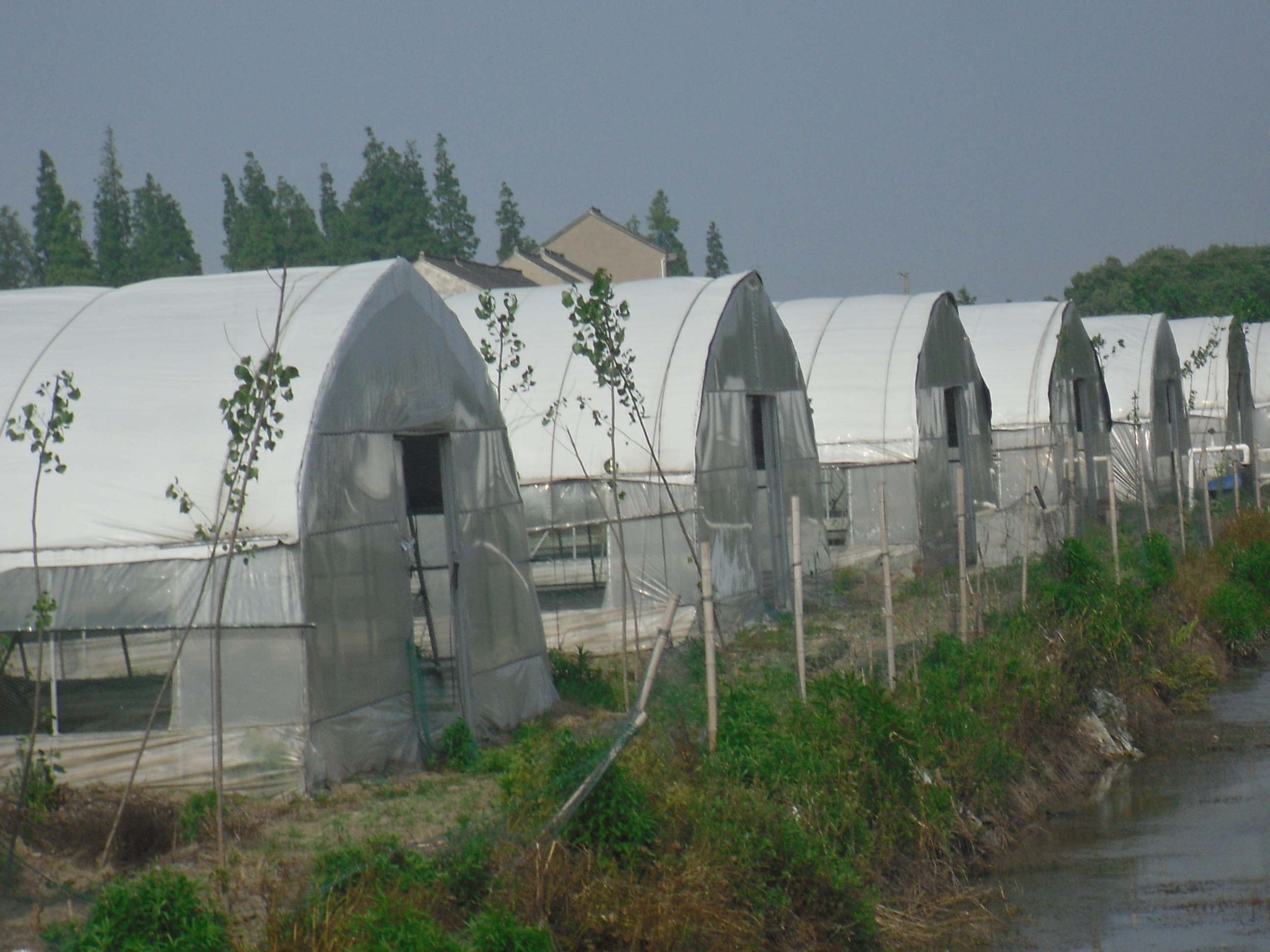 杭州市进口养殖塑料大棚膜 食用菌遮光膜厂家