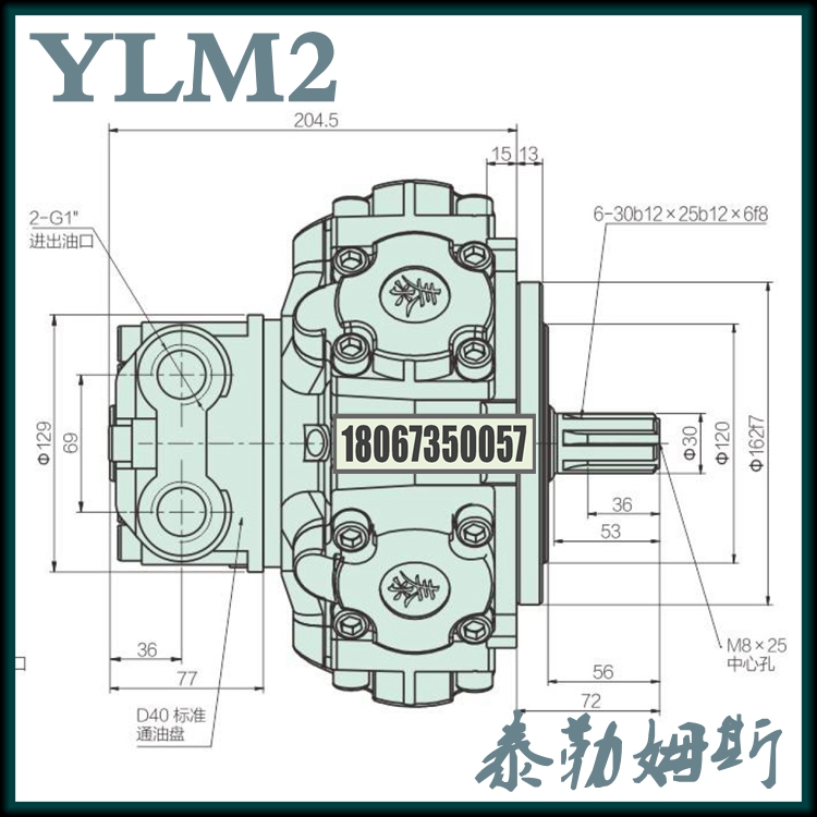 浙江泰勒姆斯TLM1-175工程机械设备矿井农用畜牧机液压马达图片
