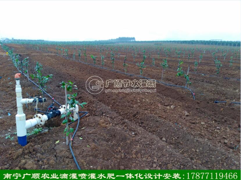 南宁广顺自动化灌溉滴灌管带设备
