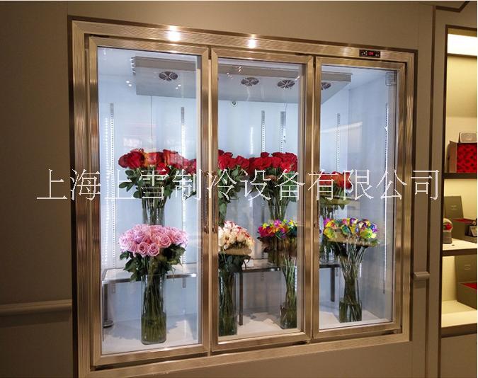 批发风冷鲜花展示柜 玻璃拉门鲜花柜 鲜花保鲜冰柜厂家