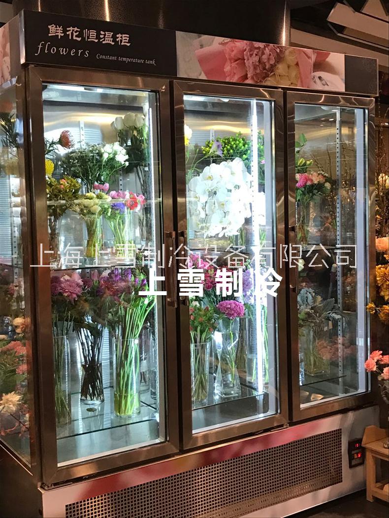 野兽派鲜花店鲜花展示柜 不锈钢鲜花冷藏柜 豪华鲜花保鲜柜厂家